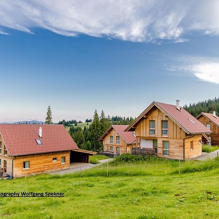 Beautiful Holiday Home In Weinebene With Sauna Posch Alpe Esterno foto