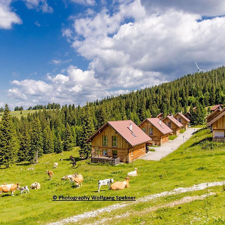 Beautiful Holiday Home In Weinebene With Sauna Posch Alpe Esterno foto