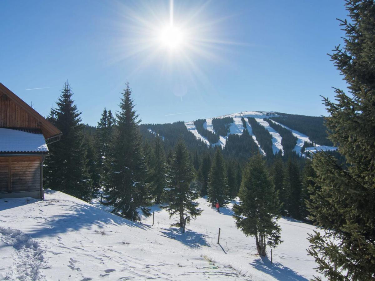 Beautiful Holiday Home In Weinebene With Sauna Posch Alpe Esterno foto
