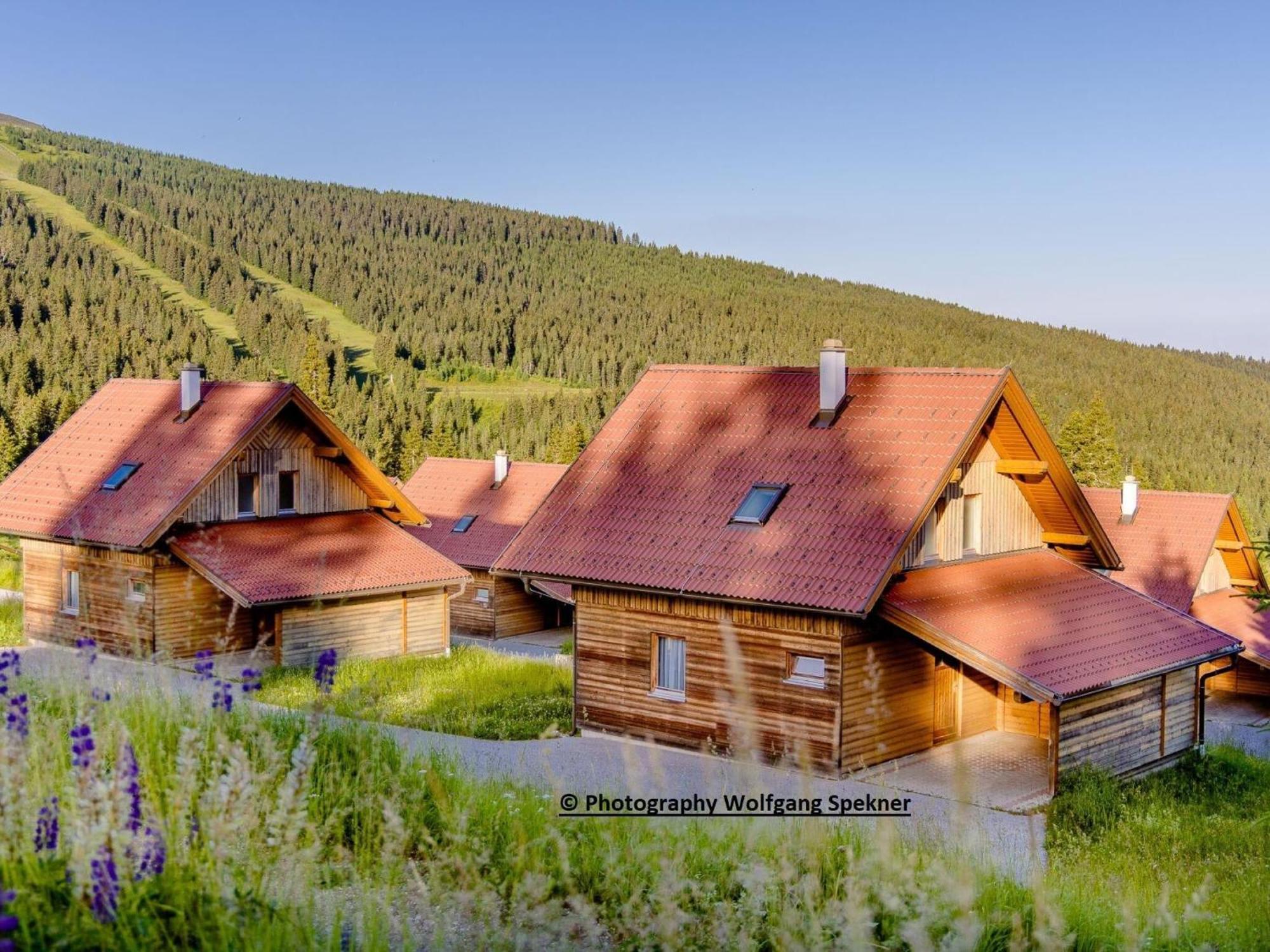 Beautiful Holiday Home In Weinebene With Sauna Posch Alpe Esterno foto