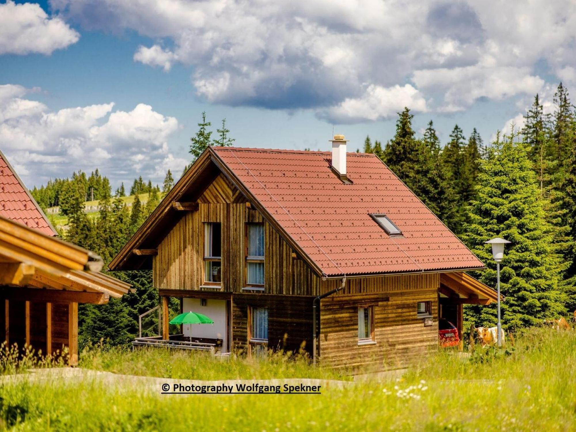 Beautiful Holiday Home In Weinebene With Sauna Posch Alpe Esterno foto