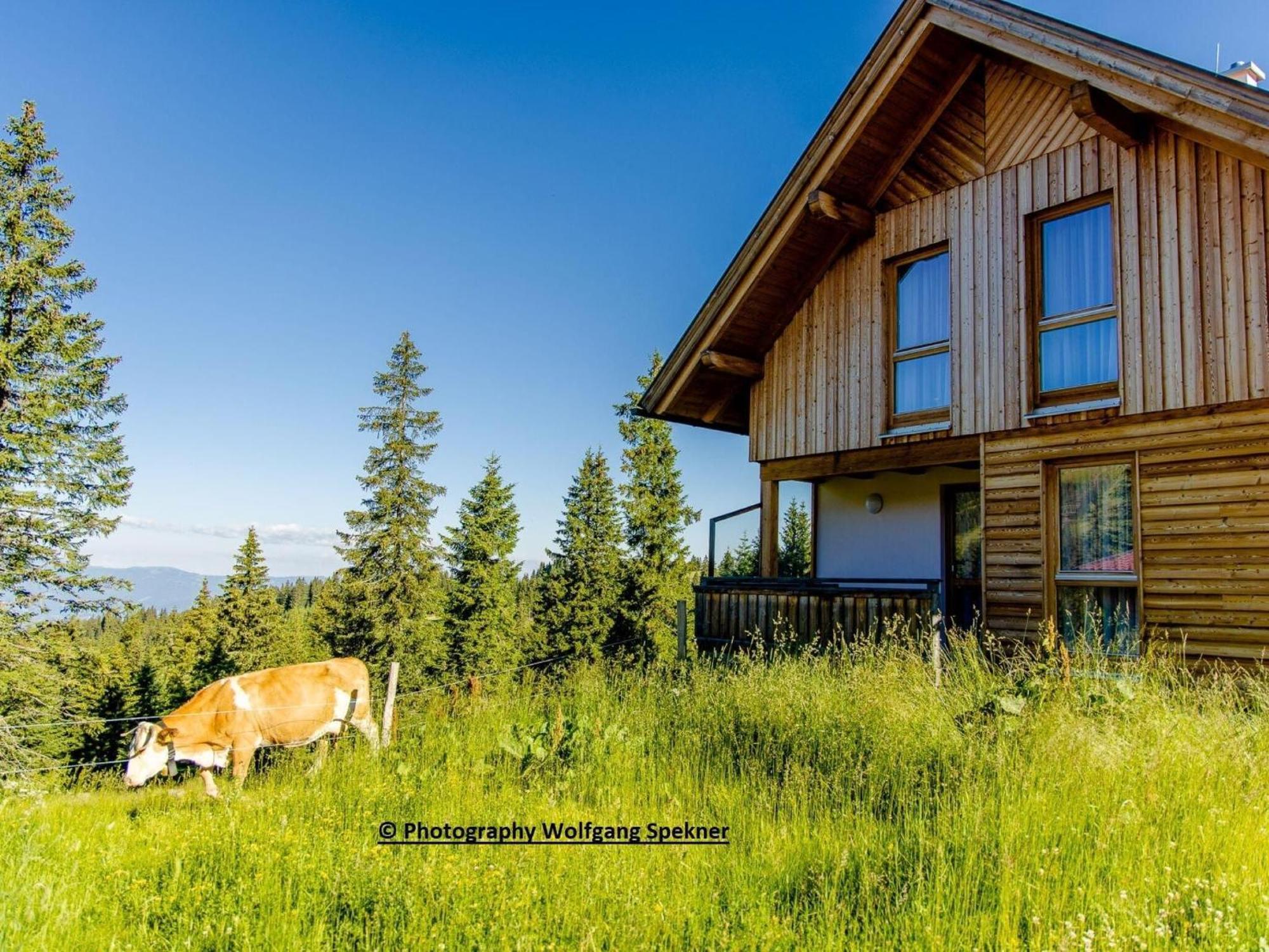 Beautiful Holiday Home In Weinebene With Sauna Posch Alpe Esterno foto