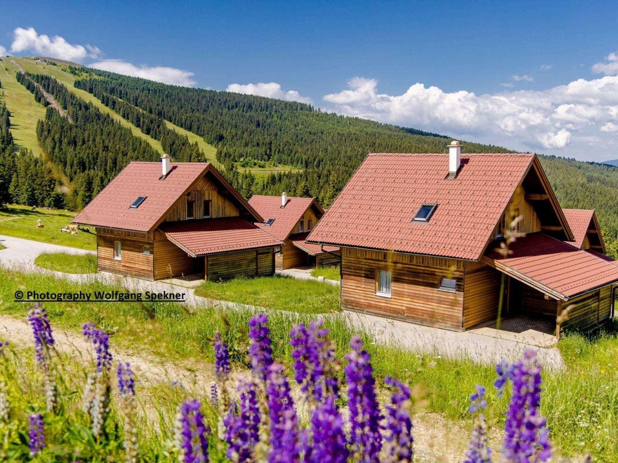 Beautiful Holiday Home In Weinebene With Sauna Posch Alpe Esterno foto